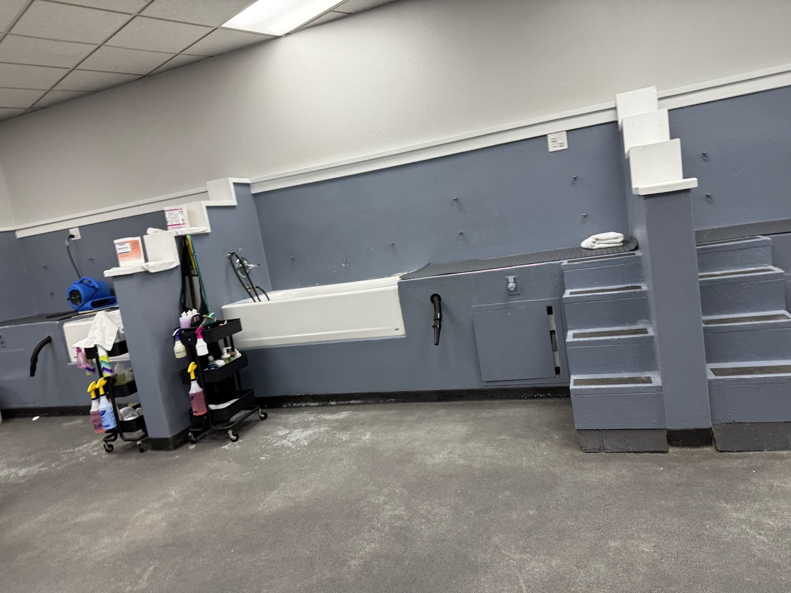 The wash room: raised white tubs with walk-up steps, supply carts and a pet dryer