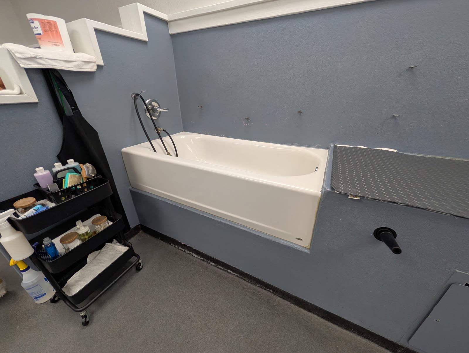 Raised wash tub with sprayer, non-slip ramp, and shampoo cart at Country Pet Wash